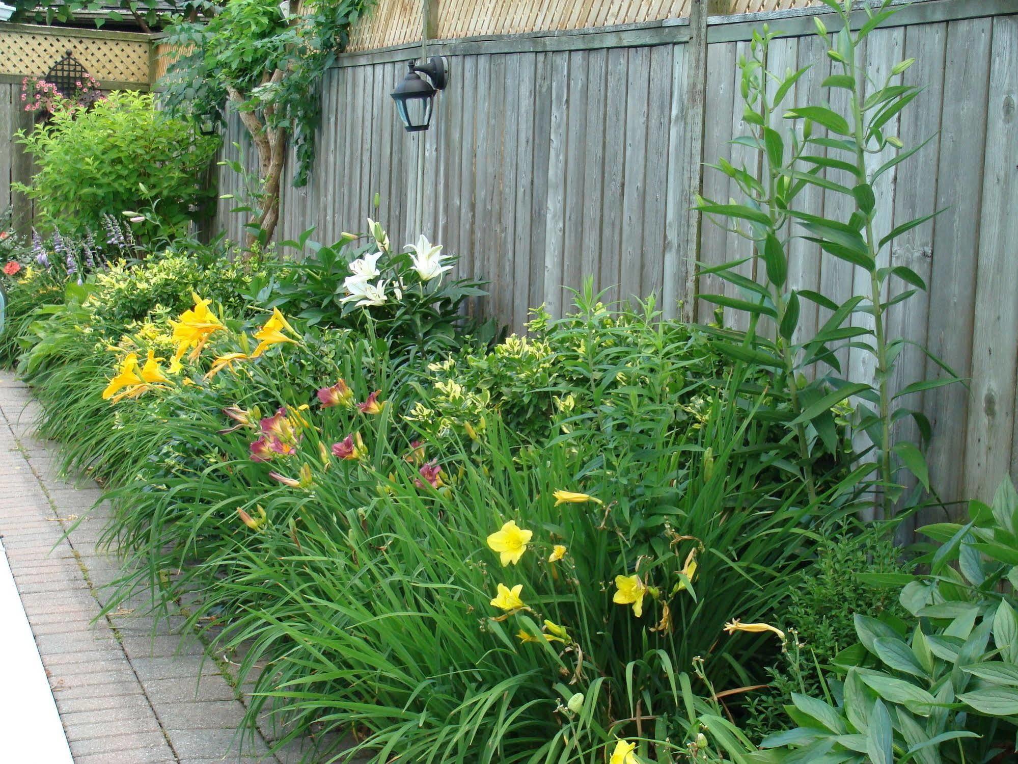 Bed and Breakfast Robinsong Thorold Екстер'єр фото